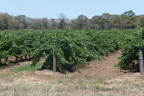 Lot 2 Willows Rd, Light Pass, SA 5355