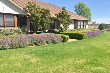 Property photo of 169 Hartfield Road Young NSW 2594