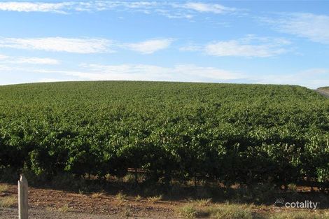 Lot 557 Gomersal Rd, Shea-Oak Log, SA 5371