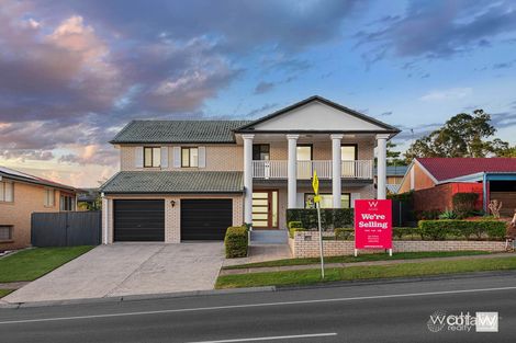 Property photo of 53 Horn Road Aspley QLD 4034