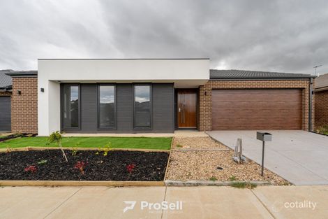 Lot 121024 Wolfson St, Tarneit, VIC 3029