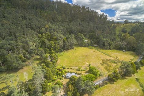 Property photo of 27742 Tasman Highway Pyengana TAS 7216