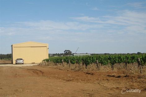 Lot 357 Light Pass Rd, Stockwell, SA 5355