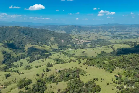 321 Masseys Creek Rd, Eccleston, NSW 2311