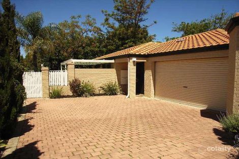 3/31 Thrall St, Innaloo, WA 6018