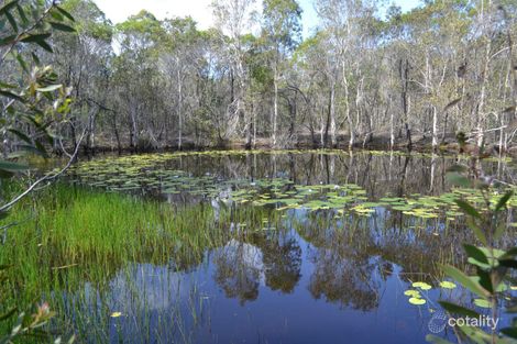 3 Phillips St, Bundaberg North, QLD 4670