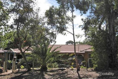 1 Alpha St, Banksia Park, SA 5091