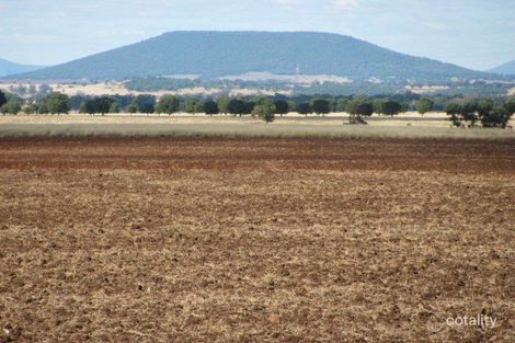 Property photo of 1466 Delwood Road Boggabri NSW 2382