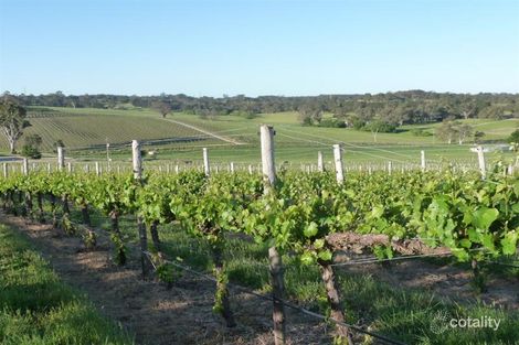 59 Hanna Rd, Forreston, SA 5233