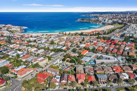 Property photo of 109 Blair Street North Bondi NSW 2026