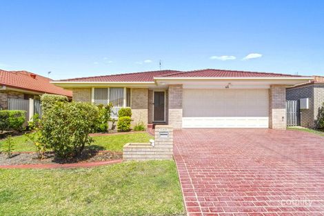 104 Winders Pl, Banora Point, NSW 2486