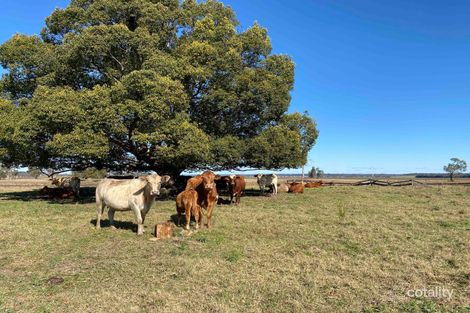 1 Deep Creek Rd, Ulmarra, NSW 2462