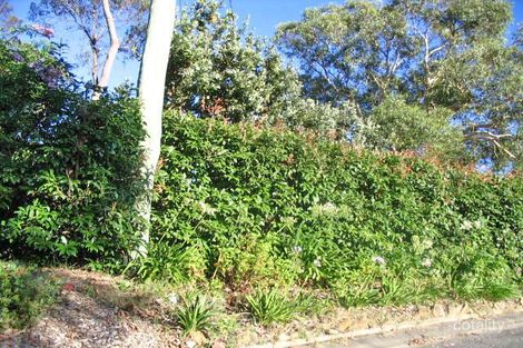 33 Riches Ave, Woodford, NSW 2778