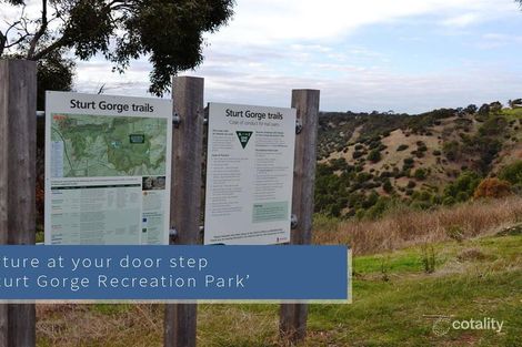 Property photo of 23 Bellaview Road Flagstaff Hill SA 5159