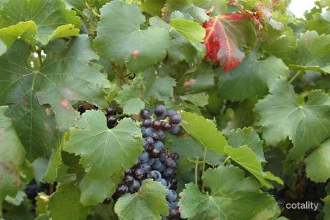 Property photo of 2 Victor Road Greenock SA 5360