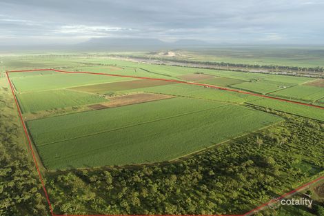 1235 Kirknie Rd, Osborne, QLD 4806