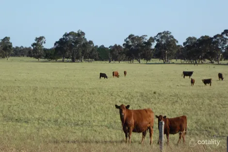 9297 Dukes Hwy, Tintinara, SA 5266