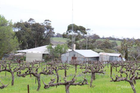 Property photo of 334 Blockers Road Stanley Flat SA 5453