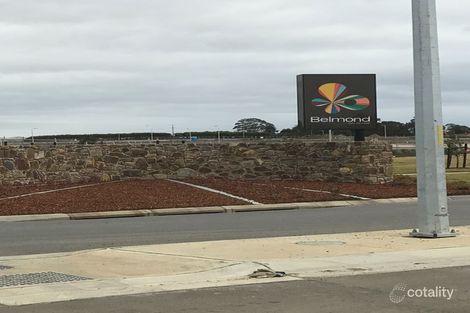 Property photo of 19 Kingscliff Avenue Clyde VIC 3978