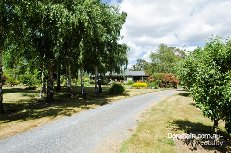 Property photo of 41 Gatenbys Road Gravelly Beach TAS 7276