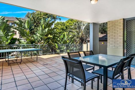 37/139 Macquarie St, St Lucia, QLD 4067