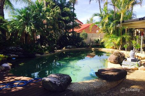 Property photo of 14 Anna Louise Terrace Windaroo QLD 4207