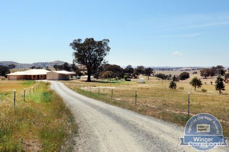 Property photo of 1053 Black Range Road Bowning NSW 2582