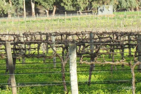 Property photo of 33 Pimpala Road Lyndoch SA 5351