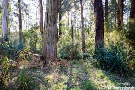 12 Glory Ave, Don Valley, VIC 3139