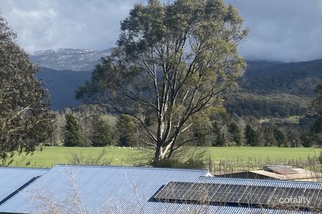 6252 Great Alpine Rd, Eurobin, VIC 3739