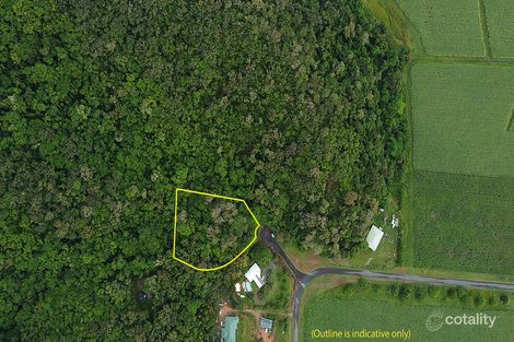 Property photo of 9 Dagmar Close Lower Daintree QLD 4873