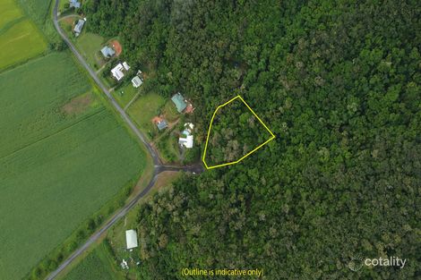 Property photo of 9 Dagmar Close Lower Daintree QLD 4873