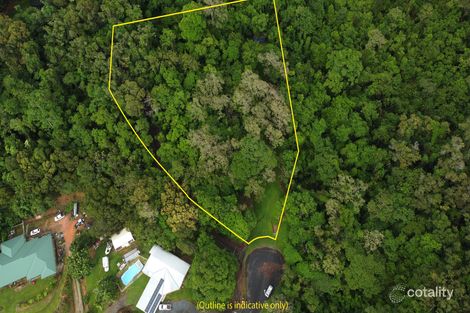 Property photo of 9 Dagmar Close Lower Daintree QLD 4873
