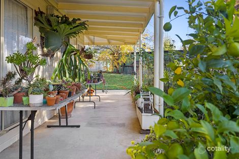 158 Dog Trap Rd, Marchmont, NSW 2582