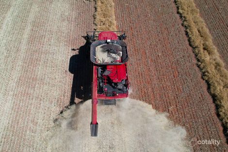 4243 Peak Hill-Tullamore Rd, Trundle, NSW 2875