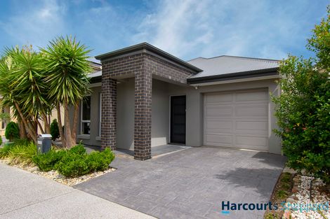 Property photo of 24 Martinique Walk Mawson Lakes SA 5095