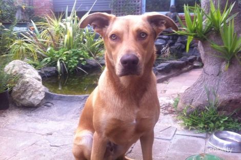 4/315-317 Boundary Rd, St Albans Park, VIC 3219