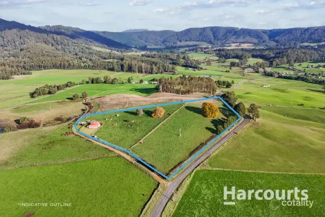 36143 Tasman Hwy, Springfield, TAS 7260