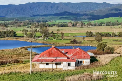 Property photo of 36143 Tasman Highway Springfield TAS 7260