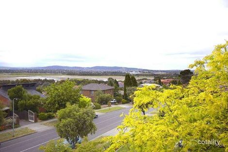 Property photo of 39 Garnett Road Wheelers Hill VIC 3150
