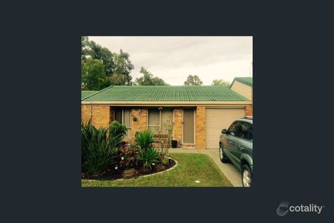 Property photo of 17 Silky Oak Court Oxenford QLD 4210