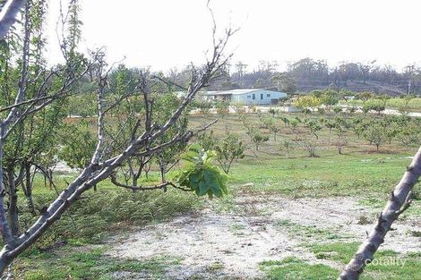 29 Upper Scamander Rd, Scamander, TAS 7215