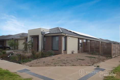 Property photo of 7 Grain Road Wyndham Vale VIC 3024