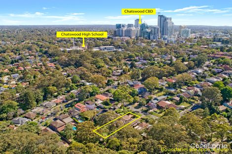 Property photo of 68 Dalrymple Avenue Chatswood NSW 2067