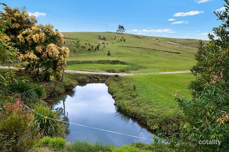 Property photo of 656 Bangalow Road Talofa NSW 2481