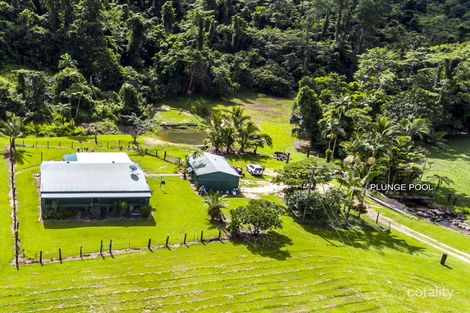 Property photo of 47 Frenchman Creek Road Babinda QLD 4861