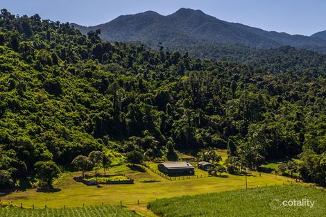 Property photo of 47 Frenchman Creek Road Babinda QLD 4861