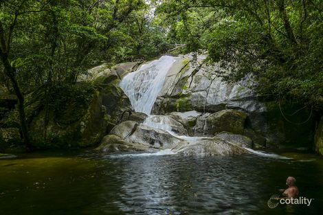 Property photo of 47 Frenchman Creek Road Babinda QLD 4861