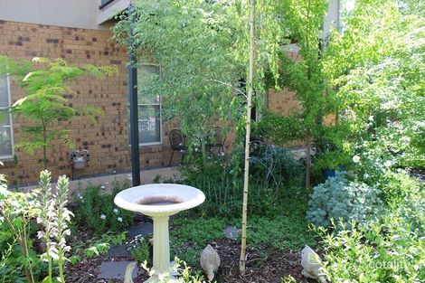 Property photo of 10 Wisteria Court Flora Hill VIC 3550