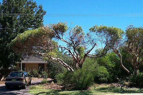 19 Ellersdale Ave, Warwick, WA 6024